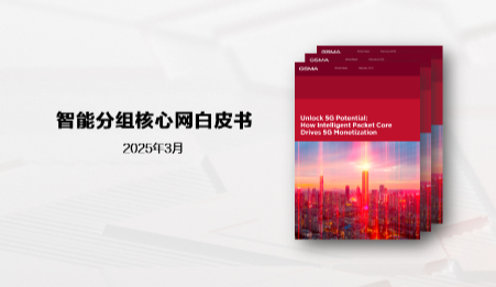 intelligent packet core white paper cn