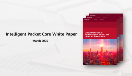 intelligent packet core white paper en